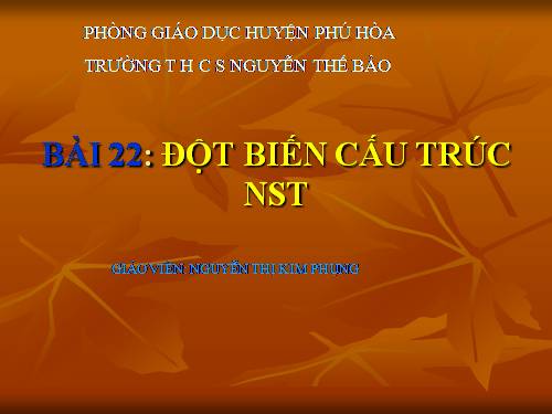 Bài 22. Đột biến cấu trúc nhiễm sắc thể