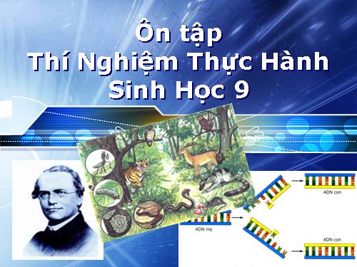 Ôn thi HSG Thí Nghiệm Thực Hành