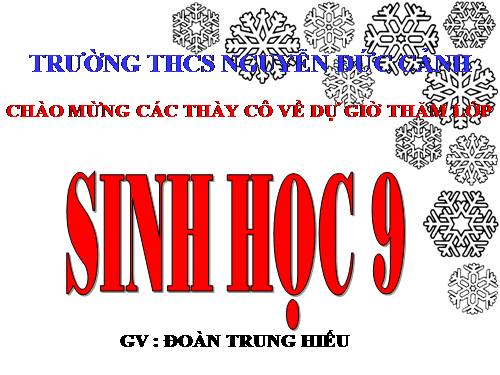 Bài 19. Mối quan hệ giữa gen và tính trạng