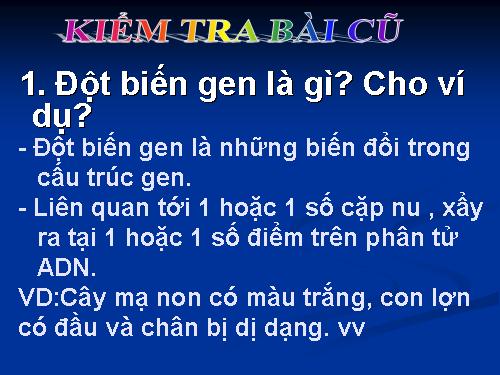 Bài 22. Đột biến cấu trúc nhiễm sắc thể