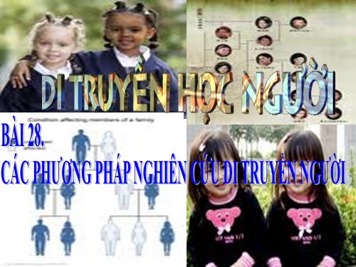 Bài 28. Phương pháp nghiên cứu di truyền người