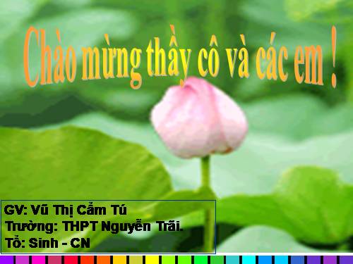 Bài 10. Giảm phân