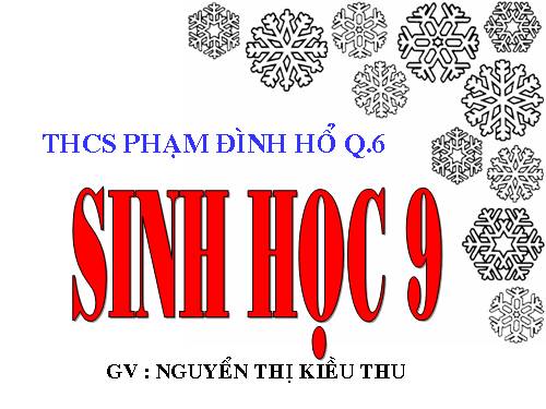 Bài 19. Mối quan hệ giữa gen và tính trạng