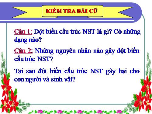 Bài 23. Đột biến số lượng nhiễm sắc thể