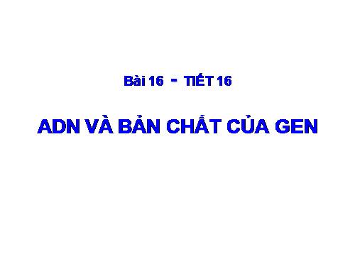 Bài 16. ADN và bản chất của gen