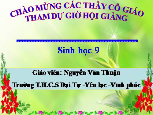 Bài 23. Đột biến số lượng nhiễm sắc thể