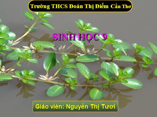 Bài 25. Thường biến