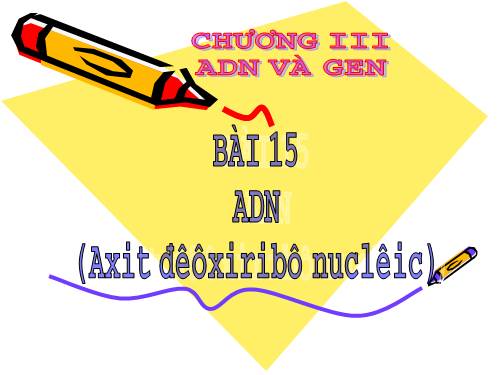 Bài 15. ADN