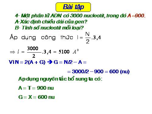 Bài 16. ADN và bản chất của gen