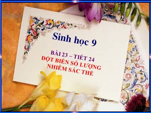 Bài 23. Đột biến số lượng nhiễm sắc thể