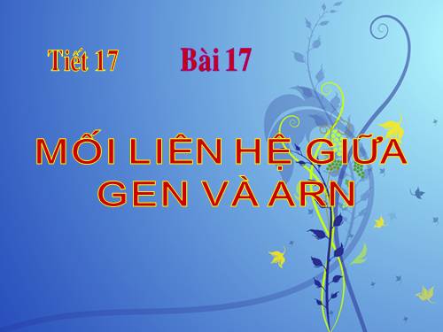 Bài 17. Mối quan hệ giữa gen và ARN