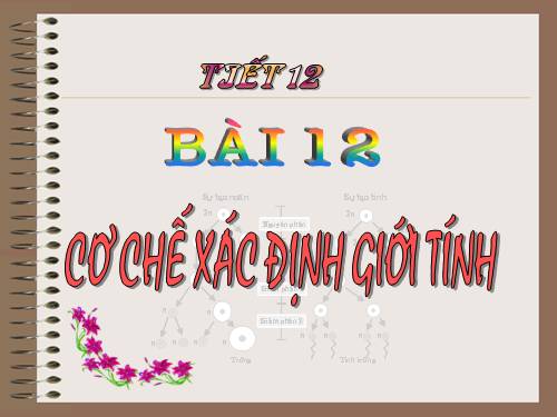 Bài 12. Cơ chế xác định giới tính