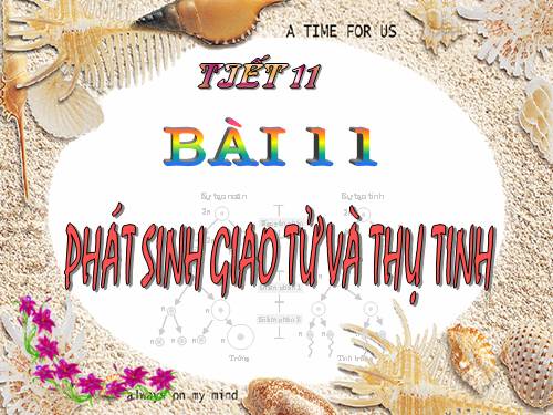 Bài 11. Phát sinh giao tử và thụ tinh