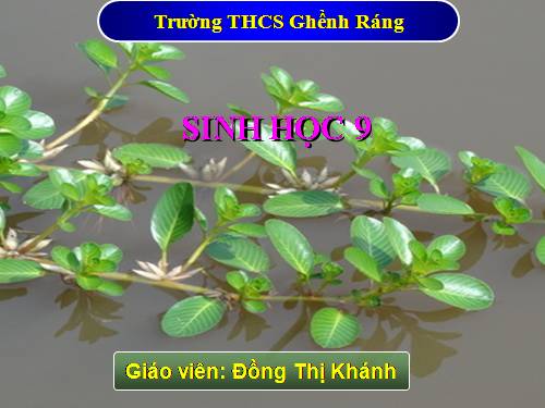 Bài 25. Thường biến