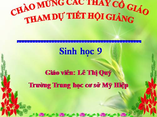 Bài 23. Đột biến số lượng nhiễm sắc thể