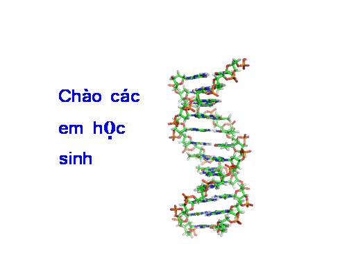 Bài 19. Mối quan hệ giữa gen và tính trạng