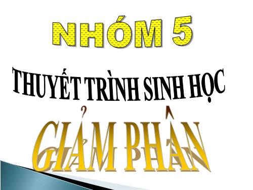 Bài 10. Giảm phân