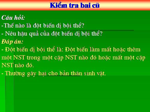 Bài 24. Đột biến số lượng nhiễm sắc thể (tiếp theo)