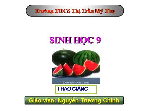 Bài 23. Đột biến số lượng nhiễm sắc thể