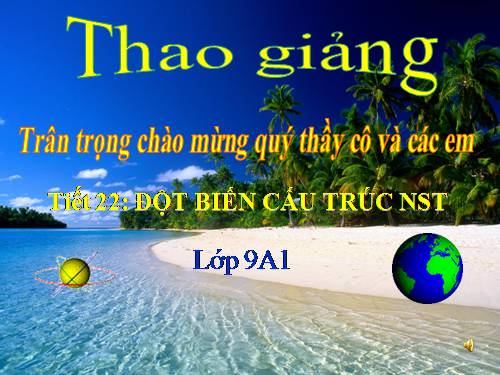 Bài 22. Đột biến cấu trúc nhiễm sắc thể