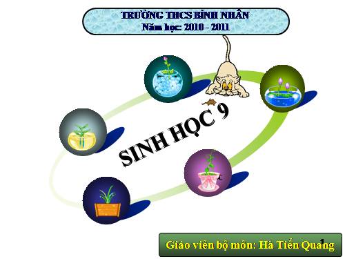 Bài 26. Thực hành: Nhận biết một vài dạng đột biến