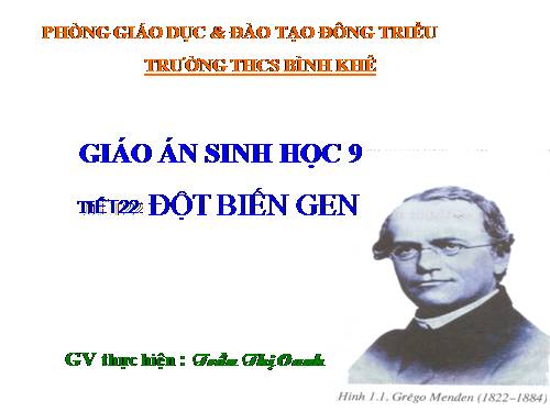 Bài 21. Đột biến gen