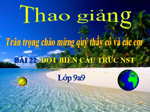 Bài 22. Đột biến cấu trúc nhiễm sắc thể