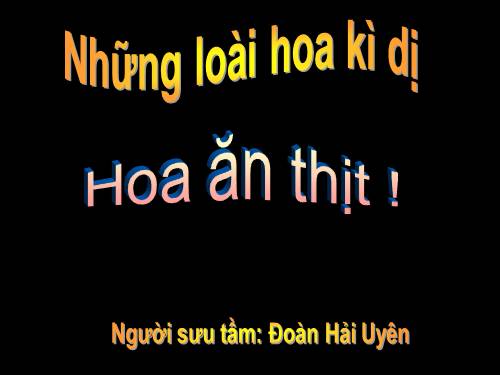 LOÀI HOA ĂN THỊT.