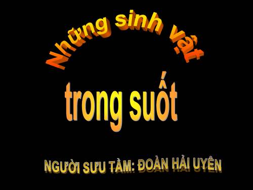 NHỮNG SINH VẬT TRONG SUỐT