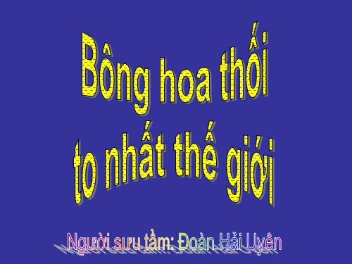 BÔNG HOA THỐI TO NHẤT THẾ GIỚI