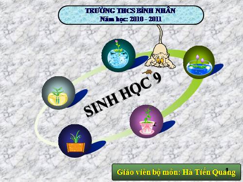 Bài 24. Đột biến số lượng nhiễm sắc thể (tiếp theo)