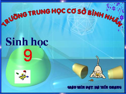 Bài 23. Đột biến số lượng nhiễm sắc thể