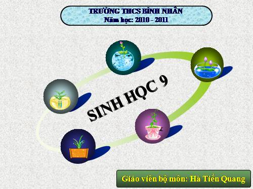 Bài 22. Đột biến cấu trúc nhiễm sắc thể