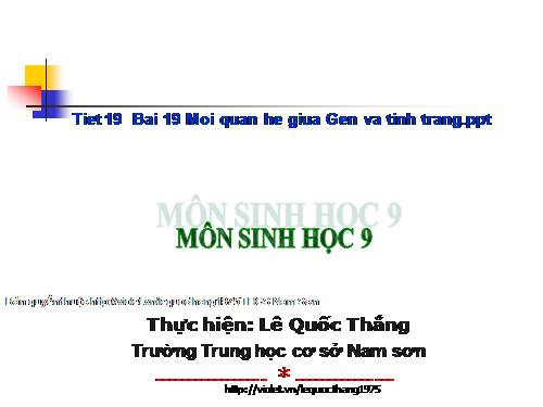 Bài 19. Mối quan hệ giữa gen và tính trạng