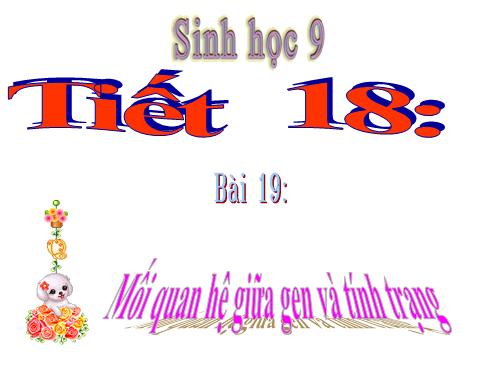 Bài 19. Mối quan hệ giữa gen và tính trạng