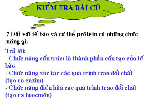 Bài 19. Mối quan hệ giữa gen và tính trạng