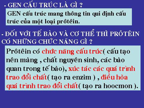 Bài 19. Mối quan hệ giữa gen và tính trạng