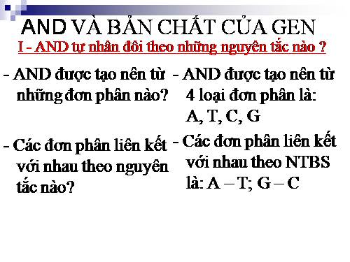 Bài 16. ADN và bản chất của gen