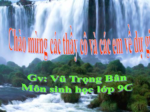 Bài 15. ADN
