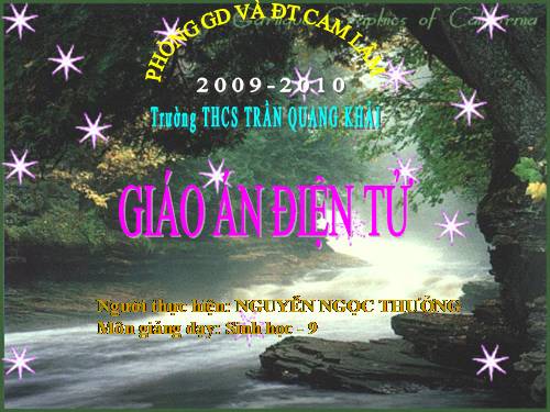 Bài 9. Nguyên phân