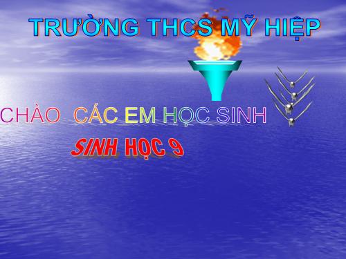 Bài 27. Thực hành: Quan sát thường biến