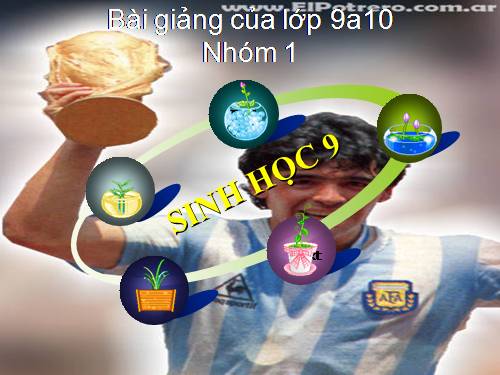 Bài 16. ADN và bản chất của gen