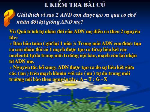 Bài 17. Mối quan hệ giữa gen và ARN