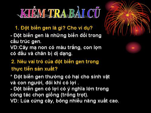 Bài 22. Đột biến cấu trúc nhiễm sắc thể