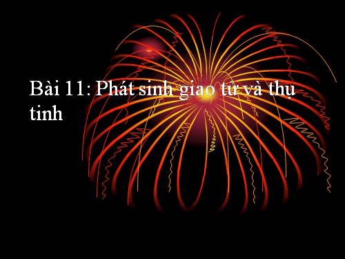Bài 11. Phát sinh giao tử và thụ tinh