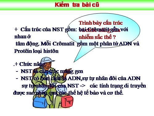 Bài 15. ADN