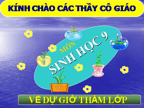 Bài 27. Thực hành: Quan sát thường biến