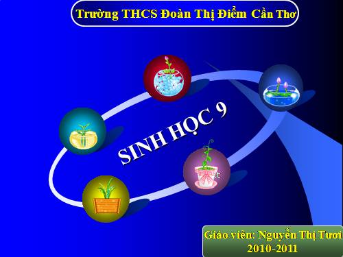 Bài 14. Thực hành: Quan sát hình thái nhiễm sắc thể