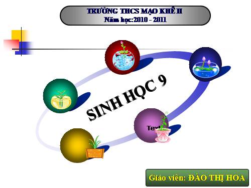 Bài 9. Nguyên phân