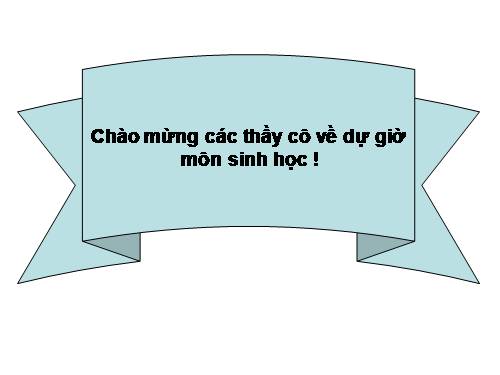 Bài 16. ADN và bản chất của gen